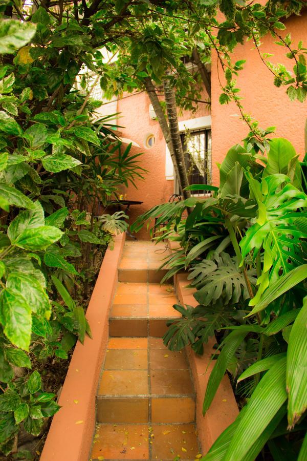 Raiz Hostel Медельин Экстерьер фото
